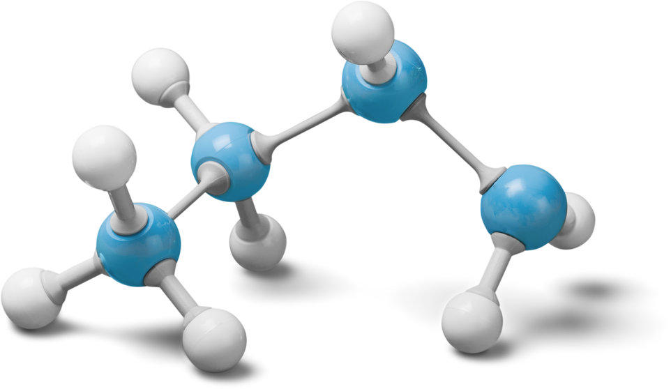 Molecular Model